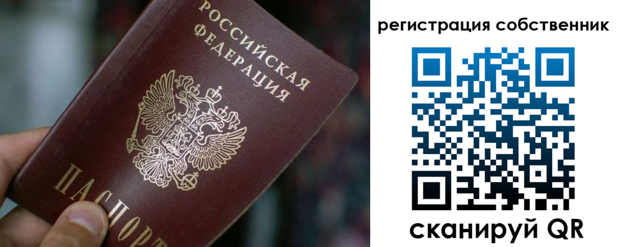 временная регистрация госуслуги в Луге